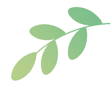 盛康配资 科普 | 三伏天减肥：抓住“天然燃脂期”，轻松享瘦！