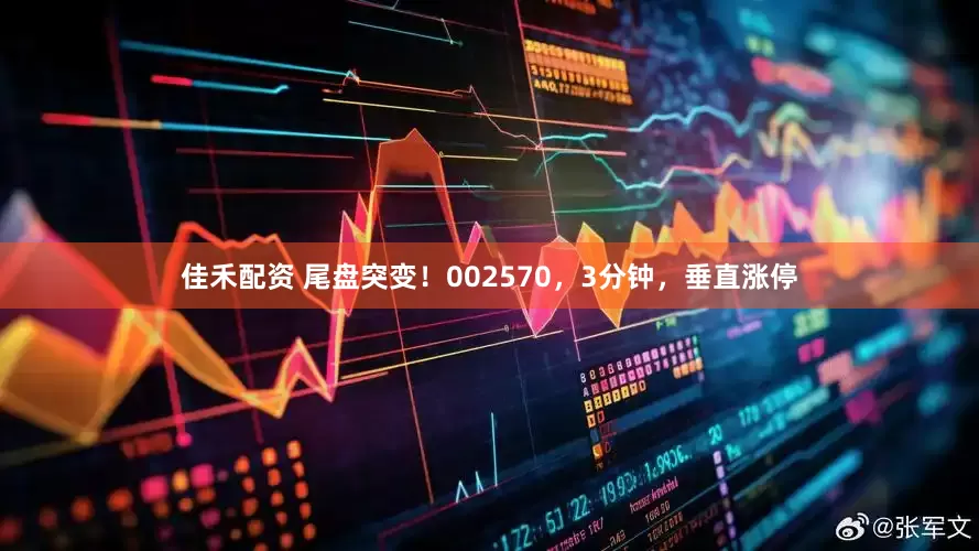 佳禾配资 尾盘突变！002570，3分钟，垂直涨停